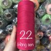 22 - Hồng sen