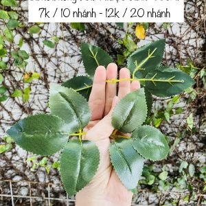 Lá hoa hồng - 10 nhánh