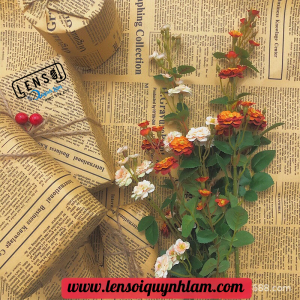 www.lensoiquynhlam.com